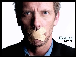 Plastry, Dr. House, Hugh Lauriego